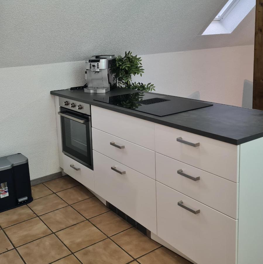 Apartamento Willingen, zeit für Dich Frankenau Exterior foto